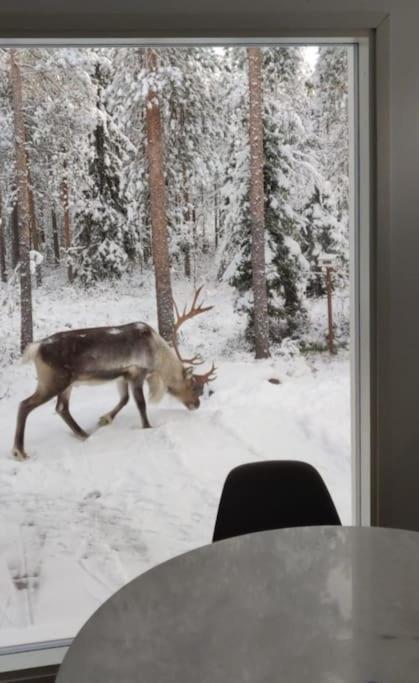 Arctic Circle Guesthouse Rovaniemi Exterior foto
